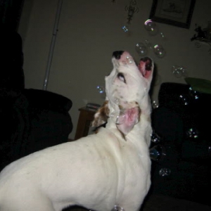 Gotta get the bubbles...