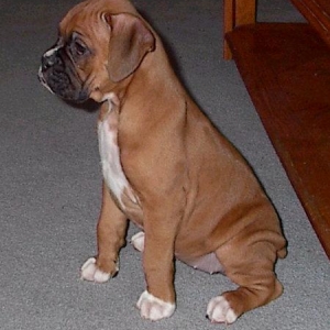Oh, the wrinkles......moisturizer, please