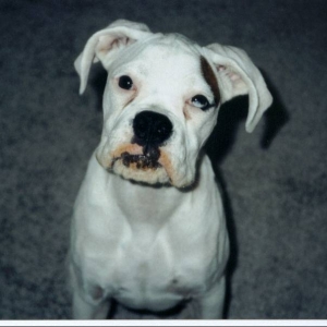 "Mom!  Can I have some more spaghetti?!"