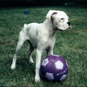 future US soccer team member