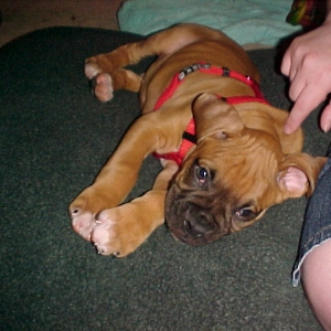 Baby Boy 2