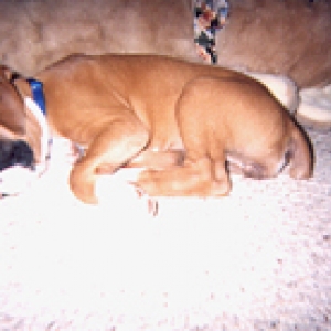Another nap with my new best friend...