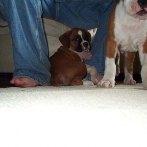 here i come uncle jenson