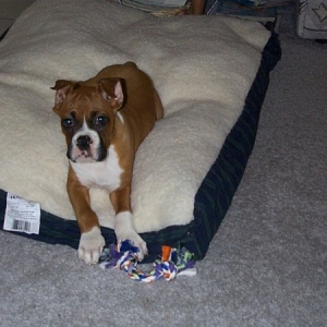 IN MY YOUNGER DAYS