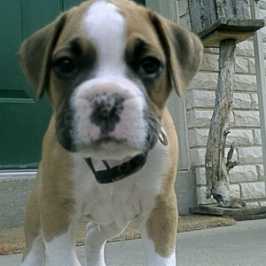 Our new baby 6 weeks old