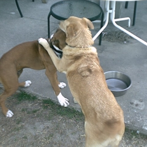 Playing with his friend Scooter