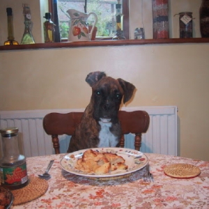 Breakfast Time!