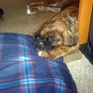 Im pooped!