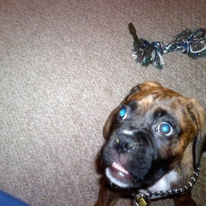 Whoooo, you talkin to me!