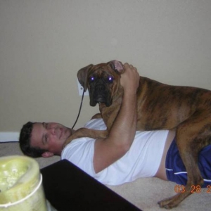 Lap Dog...