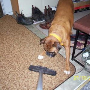 Helping clean up