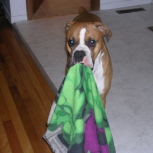 Blanky