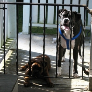 We'll be good, honest!