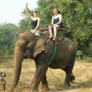 Biff in Thailand.....