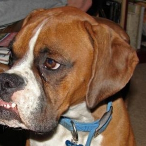Sams Underbite