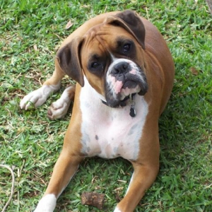 Samantha - 21 Month's Old