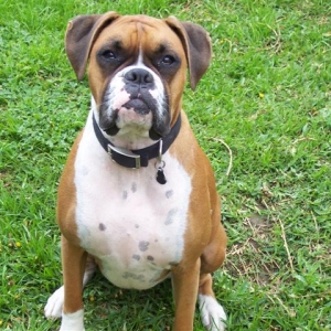 My Pretty Girl Samantha - 21 Month's Old