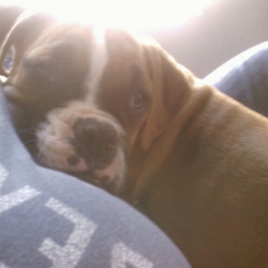 Momma's girl already