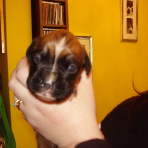 Our new baby