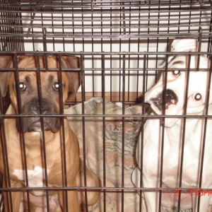 Huh...Does this look like a picture moment