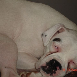 NightNight.......shhh