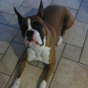 please, pretty please.