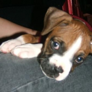*~To Cute~*