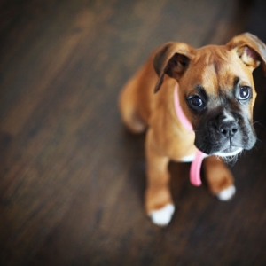 I look sooo innocent :)