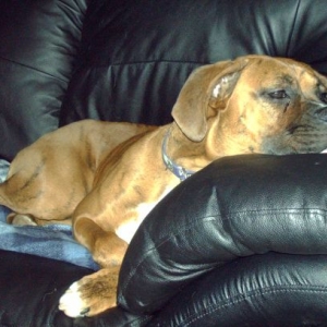 Lounging on the couch