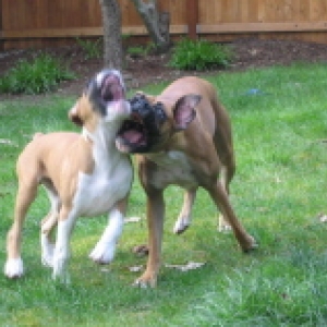 Sunny day in Seattle (finally)