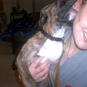 This ear tastes pretty good!