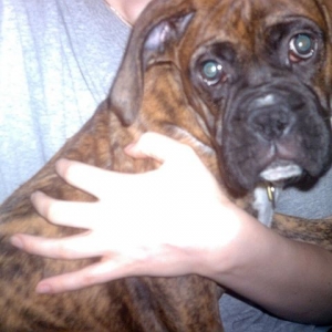 Aasha 12 weeks.