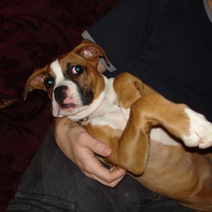 Dad likes to hold me like a baby, but I think he's crazy!
