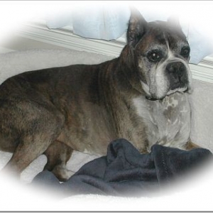 Our Angel Brock