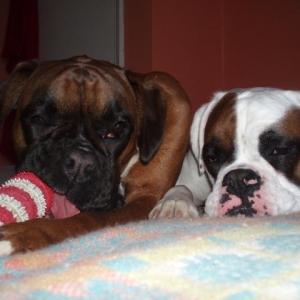 Ruby and Luka
