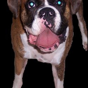 Diego