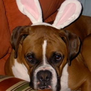 Easter_2007Compressed