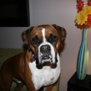 Charlie_2-17-07_2_Compressed