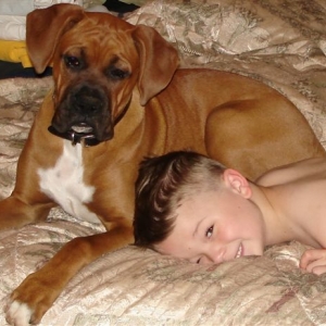 Elvis keeping Hunter company while he's sick.