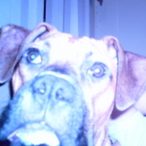 Hello Mom!