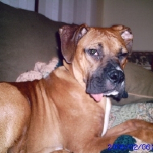 Look at that tongue
