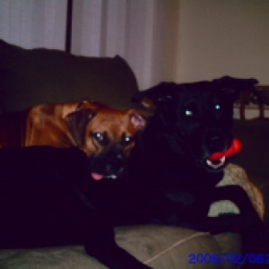 Chief n Sam