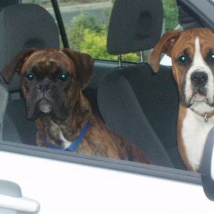Driving Lesson