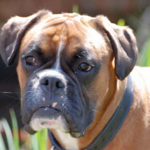 Good looking boy