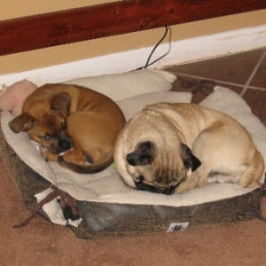 snoozin'