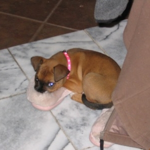slipper girl