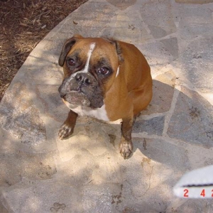 Muddy Lila