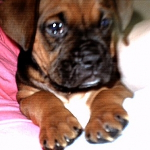 Sadie