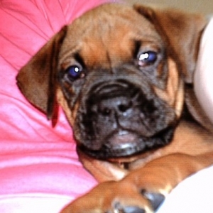 Sadie