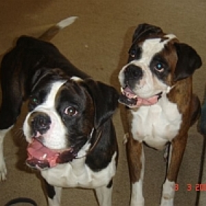 Darcy and Reuben